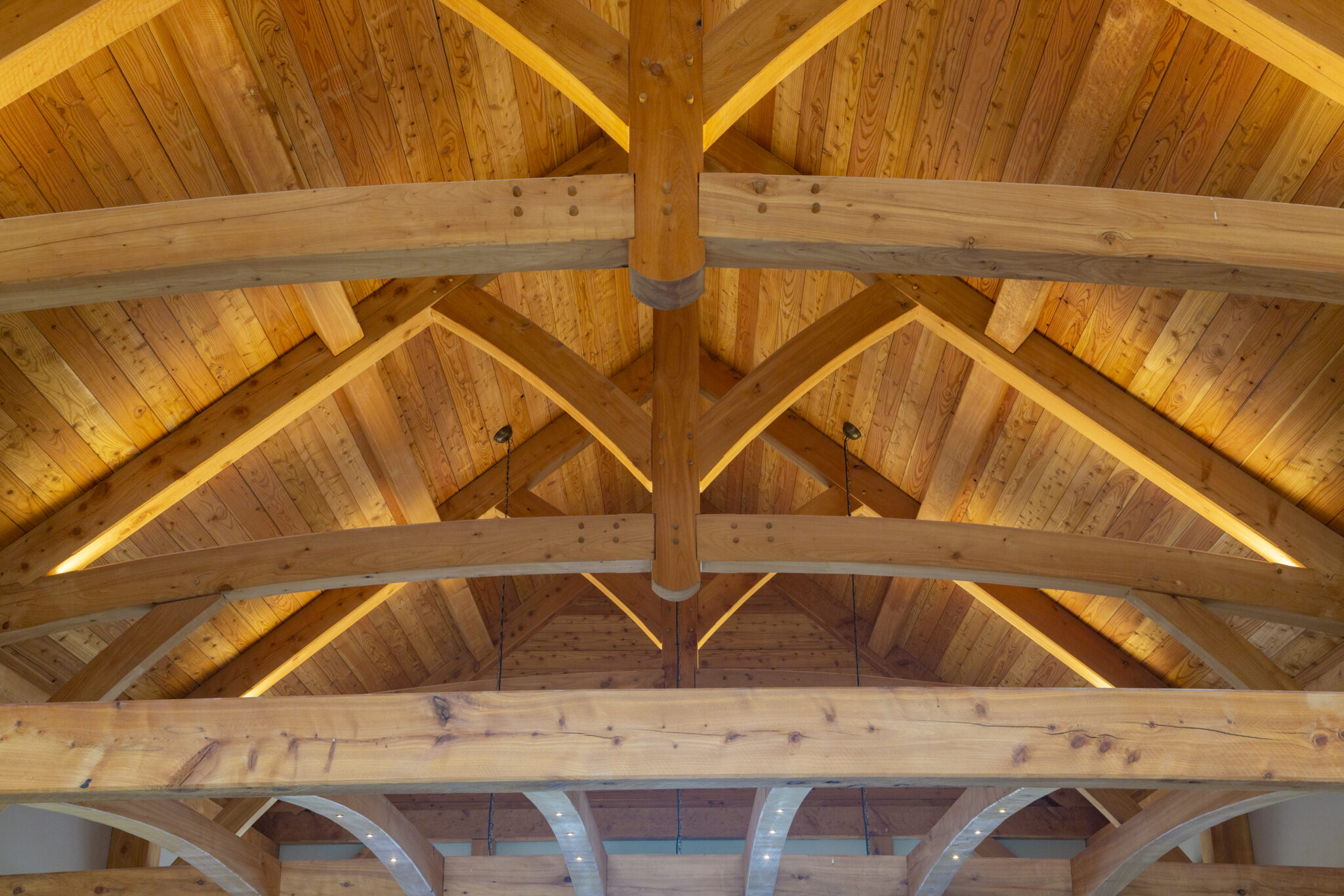 Exposed timber trusses crafted from locally grown hardwood